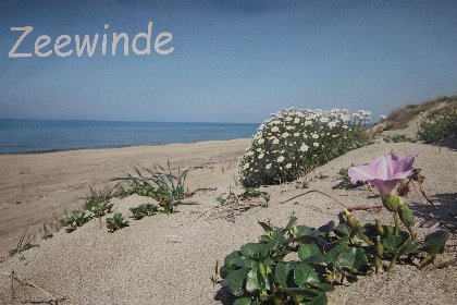 031 Zonnedorp 17 Zeewinde Renesse: Comfortabele vakantiewoning nabij het strand