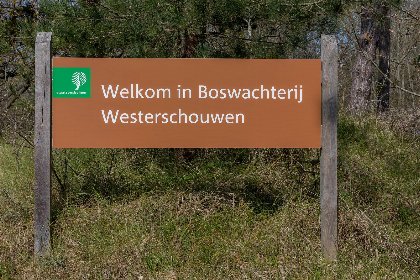 040 Zonnedorp 18 Duinhuis Renesse | Relaxte strandvakantie voor het hele gezin