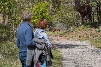 042 Zonnedorp 18 Duinhuis Renesse | Relaxte strandvakantie voor het hele gezin