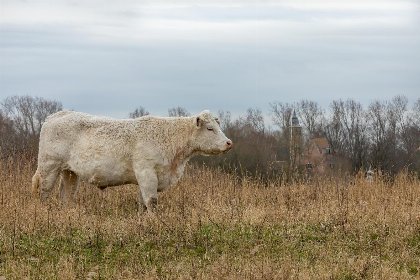 025 Zonnedorp 26 Renesse: Comfortabele Strandvakantie aan de Noordzee