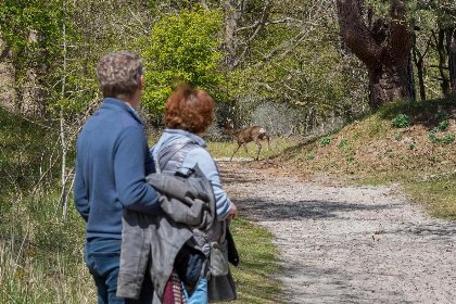 032 Zonnedorp 26 Renesse: Comfortabele Strandvakantie aan de Noordzee