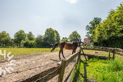 018 Prachtige 16 persoons groepsaccommodatie met ruime tuin, sauna en whirlpool vlakbij Goes