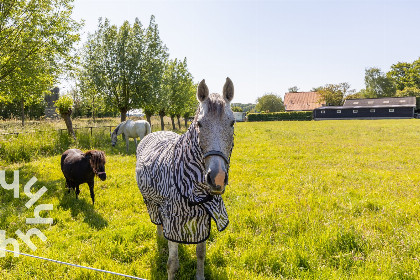 017 Knus 2 persoons vakantiehuis landelijk gelegen in Serooskerke