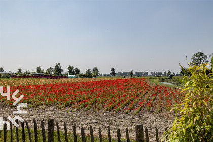 005 Sfeervol 4 persoons huisje met buitensauna, bubbelbad en omheinde tuin in Sint Annaland