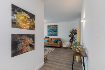 013 Vakantiewoning aan het strand   met tuin en terras | Nr. 18   4 Pers. | Vista Maris