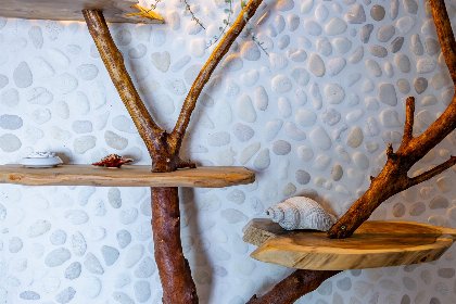 016 Vakantiewoning aan het strand   met tuin en terras | Nr. 50 | 2   4 Pers. | Vista Maris