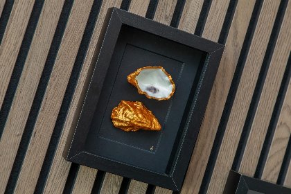 011 Vakantiewoning aan het water   met 2 balkons | Nr. 36 | 2   4 Pers. | Vista Maris