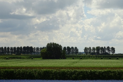 036 Gezellig en eenvoudig 6 persoons vakantiehuis in Stavenisse, Tholen, bij de Oosterschelde