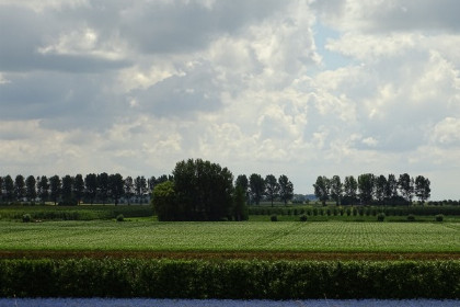 039 Gezellig en eenvoudig 6 persoons vakantiehuis in Stavenisse, Tholen, bij de Oosterschelde