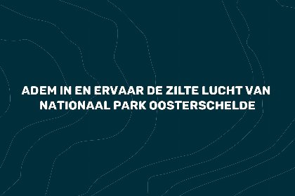 039 Villa Oesterdam Deluxe Extra | 6 personen