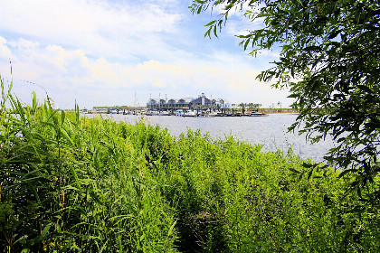 013 Villa Oesterdam Wellness | 10 personen