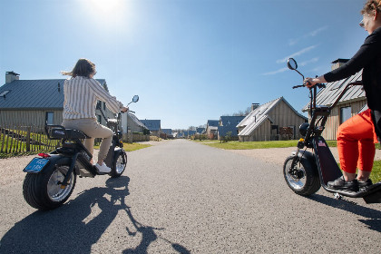 013 Villa Oesterdam Wellness | 16 personen