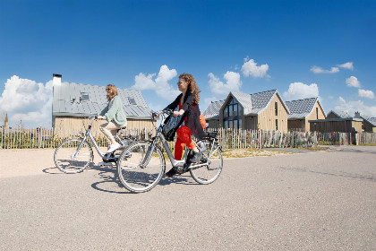 015 Villa Oesterdam Wellness | 16 personen