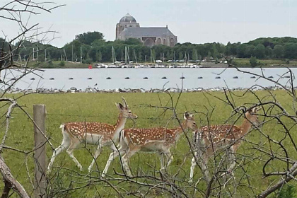 008 Sfeervol 3 persoons vakantiehuis in Veere 1500 meter van het Veerse Meer