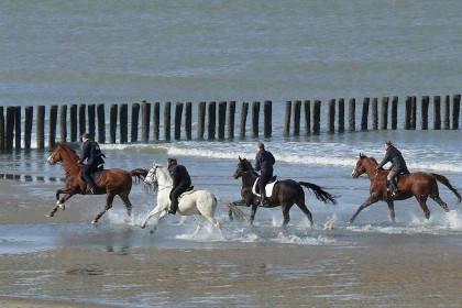 009 Sfeervol 4 persoons vakantiehuis in Veere 1500 meter van het Veerse Meer