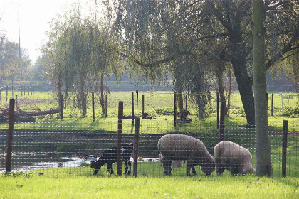 008 2 persoons studio in Vrouwenpolder   1000m van het strand