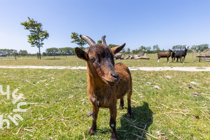 002 2 persoons studio in Vrouwenpolder op Walcheren, landelijk en rustig