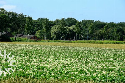 018 2 persoons studio in Vrouwenpolder op Walcheren, landelijk en rustig