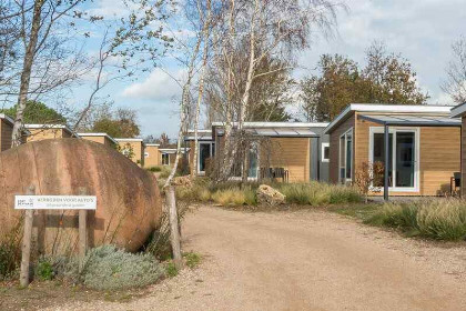 007 4 persoons chalet nabij het Veerse Meer en het Noordzeestrand