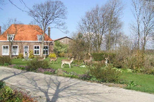 4 persoons vakantiehuis in Vrouwenpolder   1000m van het strand