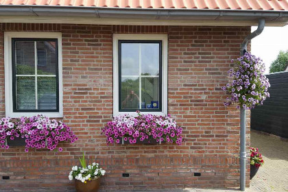 004 4 persoons vakantiehuis in Vrouwenpolder vlakbij het strand