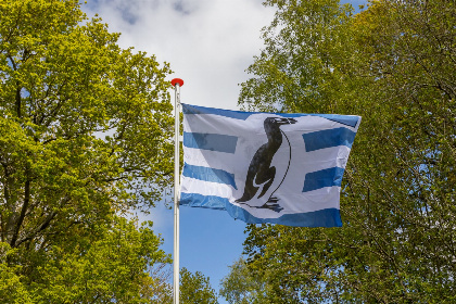 017 Leuk 4 persoons vakantiehuis onderaan de duinen in Vrouwenpolder