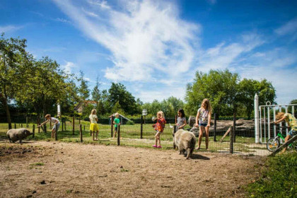 021 Sfeervol 4 persoons vakantiehuis in Vrouwenpolder   900m van het strand