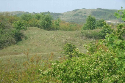 030 Sfeervol 4 persoons vakantiehuis in Vrouwenpolder   900m van het strand