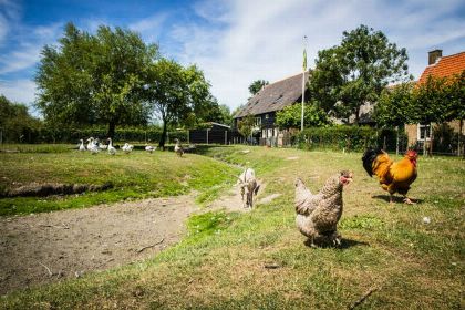 030 Vakantiewoning   Kon. Emmaweg 26 | Vrouwenpolder 'Uitspanning Oranjezon'