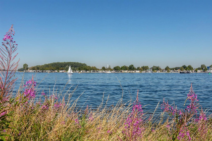 014 Knus vakantiehuis voor 3 personen op loopafstand van het Veerse Meer in Wolphaartsdijk