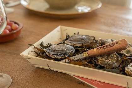 010 Duinhelm | Hottub | 6 Pers