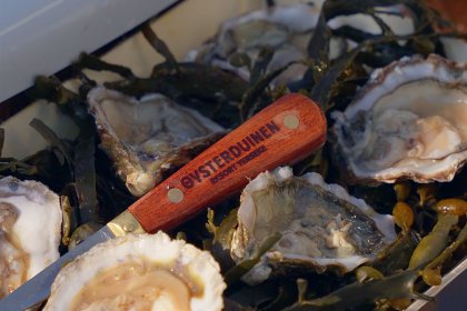 028 Duinhelm | Hottub 