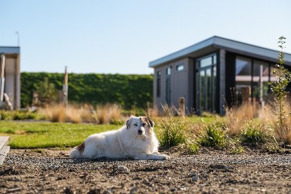 012 Zeebries | 4 Pers 012 Zeebries | 4 Pers