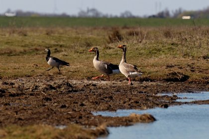 027 Zeebries | Hottub | 4 Pers