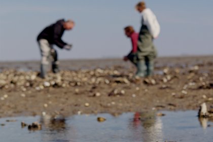 028 Zeebries | Hottub | 4 Pers