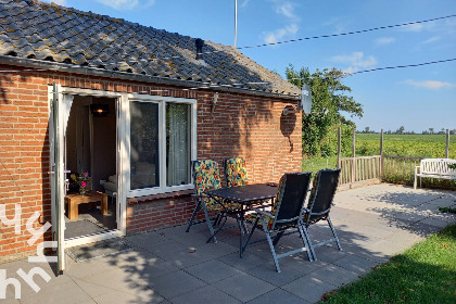 005 Fijne vakantiewoning op een boerderij met een fantastisch zicht op duinen en akkers