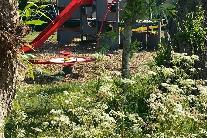048 Heerlijk familiehuis met omheinde tuin op 5 minuten van zee | Noordendolfer 2 51 Zoutelande 048 Heerlijk familiehuis met omheinde tuin op 5 minuten van zee | Noordendolfer 2 51 Zoutelande