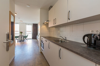 010 Luxe studio | 2 personen | Huisdiervriendelijk | Zoutelande