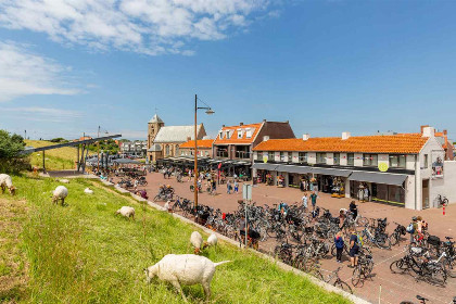 009 Ruime, sfeervolle 6 persoons vakantiebungalow dichtbij strand Zoutelande