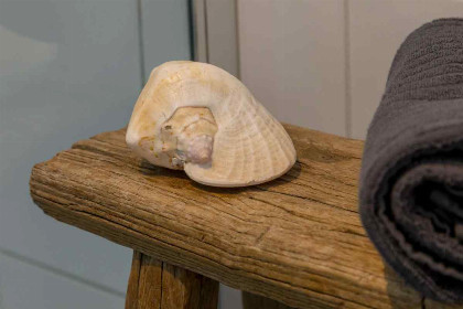 015 Sfeervol 2 persoons vakantiewoning op 500 m van het strand in Zoutelande