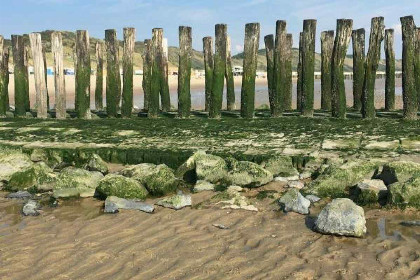 011 Sfeervol 6 persoons vakantiehuis 300m van het Strand in Zoutelande