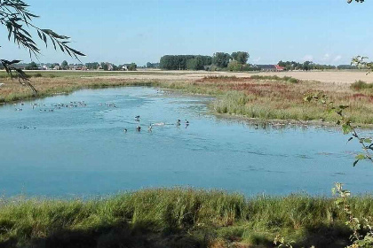 019 Prachtig 12 persoons boerderij vakantiewoning in Zeeuws Vlaanderen