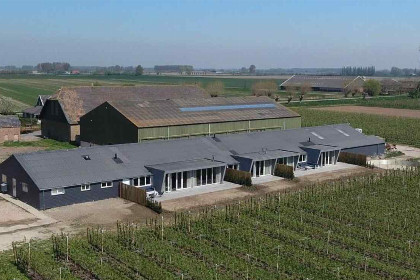 010 Prachtig 4 persoons boerderij vakantiewoning in Zeeuws Vlaanderen