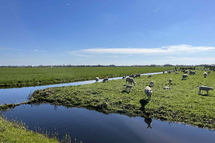 001 Vrijstaande 4 persoons chalet aan het water bij Alphen aan den Rijn