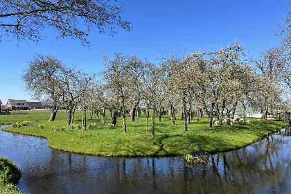 010 Vrijstaande 4 persoons chalet aan het water bij Alphen aan den Rijn