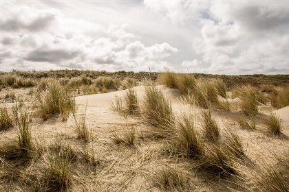 018 HaagseStrandhuisjes