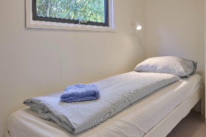 025 Roodborst 91