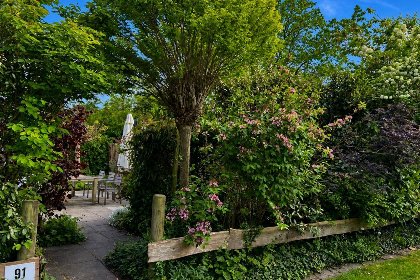 031 Roodborst 91