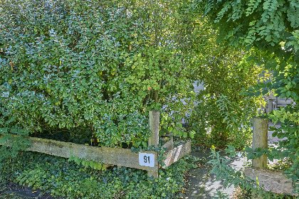 033 Roodborst 91