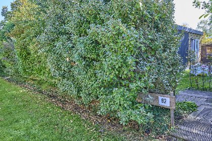 024 Roodborst 92